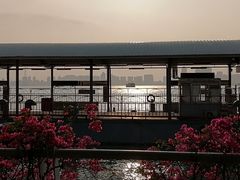 -厦门邮轮中心厦鼓码头(轮渡站)
