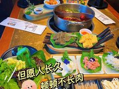 -手选潮汕鲜活牛肉火锅(二七广场店)