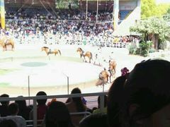 -上海野生动物园老虎餐厅