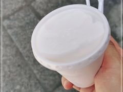 -洪馨椰子