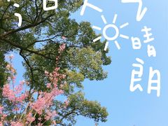 -南山植物园