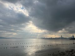 -深圳湾公园(南山区)