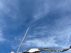 -海驴岛(荣成市)