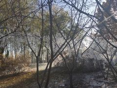 -仁和公园(顺义区)
