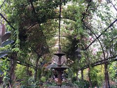 -The Grounds of Alexandria
