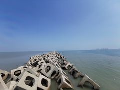 -东疆建设开发纪念公园