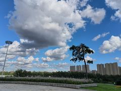 -长春世界雕塑园