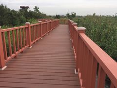 -芒洲湿地公园