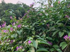 -广东中医药博物馆