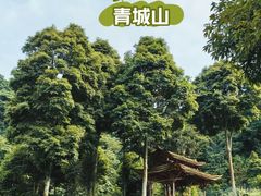 -青城山
