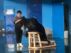 -苏州海洋馆