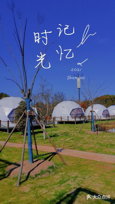 上海长兴岛郊野公园图片