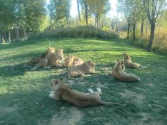 -北京野生动物园