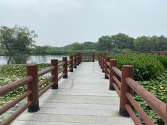 -长兴太湖图影湿地文化园