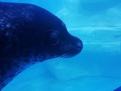 -多彩贵州城极地海洋世界