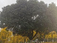 -天河儿童公园
