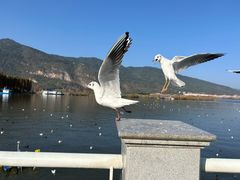 -海埂大坝