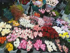 -三圣花乡旅游区