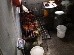 -老家柴火鸡(益州路店)