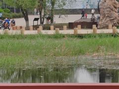 -绿堤公园
