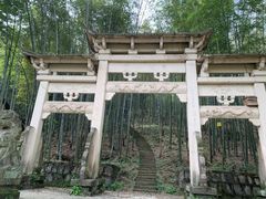 -午潮山国家森林公园