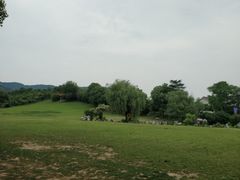 -雨花胜境