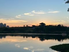 -桃花岛公园