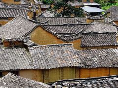 -杨家堂村