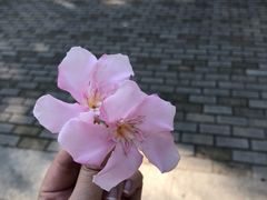 -厦门园林博览苑