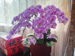 -新疆大厦·慕士塔格餐厅