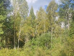 -莫尔道嘎国家森林公园