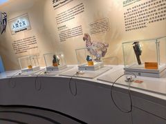 -盐城丹顶鹤湿地生态旅游区
