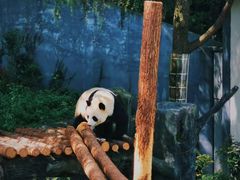 -红山森林动物园