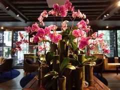 -成都观隐颐云台酒店-芳菲秀