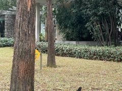 -晓港公园