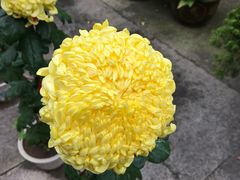 -舟山希尔顿酒店