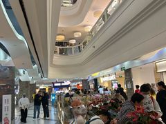 -美罗城