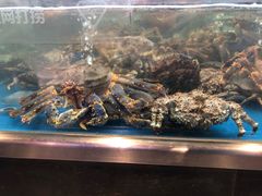 -盒马鲜生(大成店)