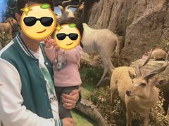 -陕西自然博物馆