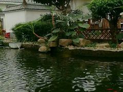-汤山翠谷生态餐厅