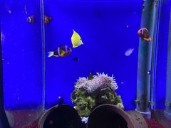 -海合安武汉极地海洋公园