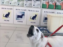 -瑞鹏宠物医院·爱宠堂(环西分院)