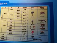 -嘉荫恐龙国家地质公园