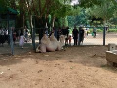 -长白岛森林公园