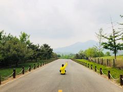 -北京雁栖湖国际会展中心