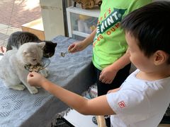 -平行世界·猫咖(首经贸店)