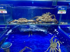 -船梆煮•蒸汽海鲜·炉火烤肉(五四广场店)