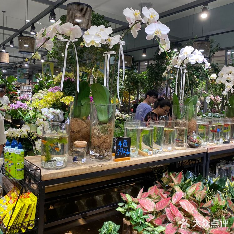 都是花乡