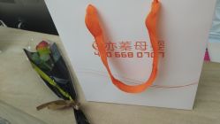-Cocodemer女性健康·产后恢复(天一广场店)
