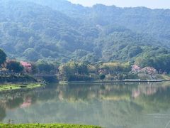 -风云岭森林公园